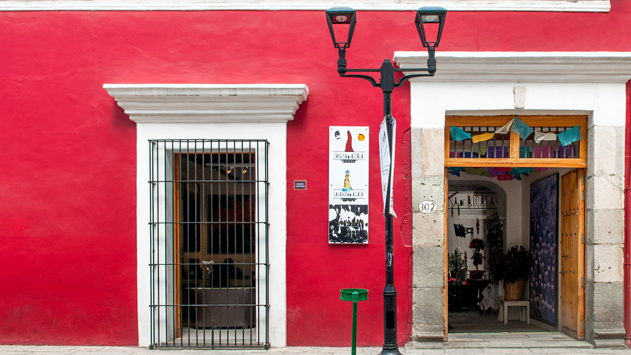 Imagen 4 proyecto Catrina de Alcalá