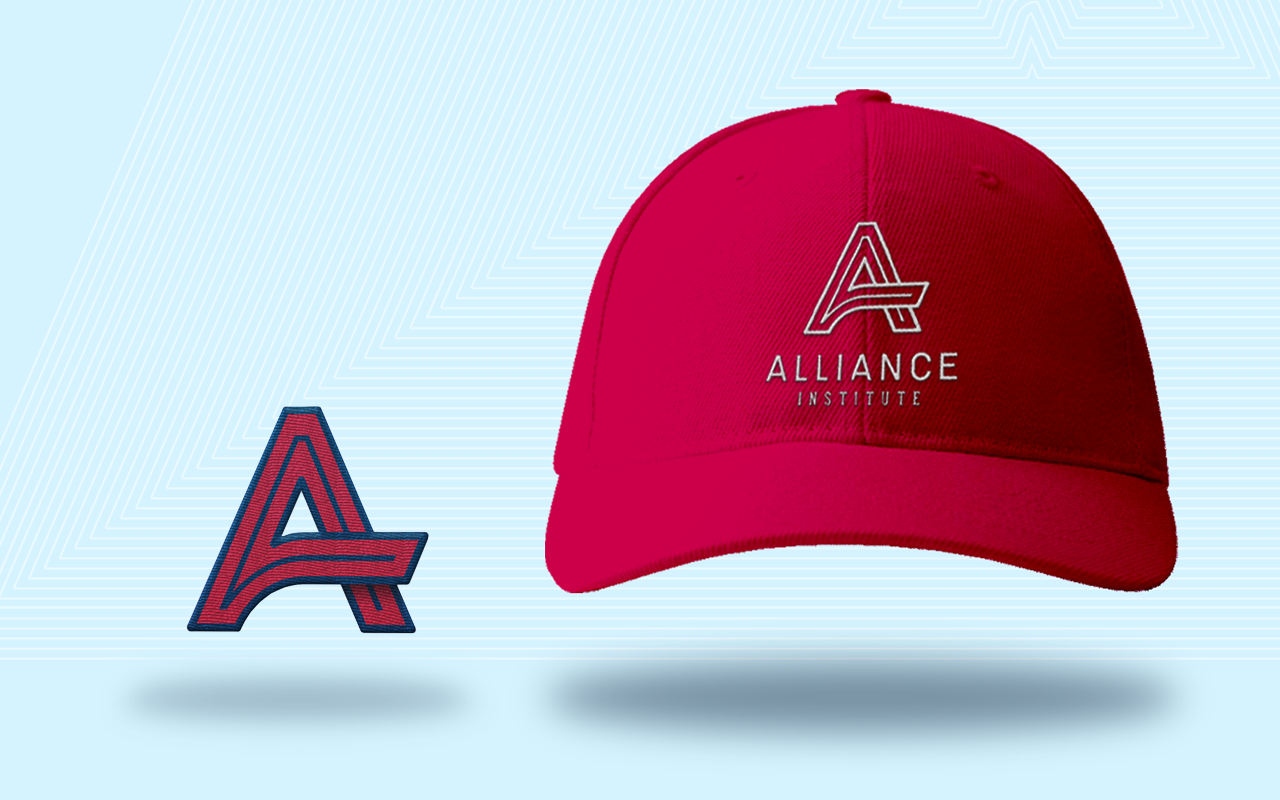 Imagen 3 proyecto Alliance