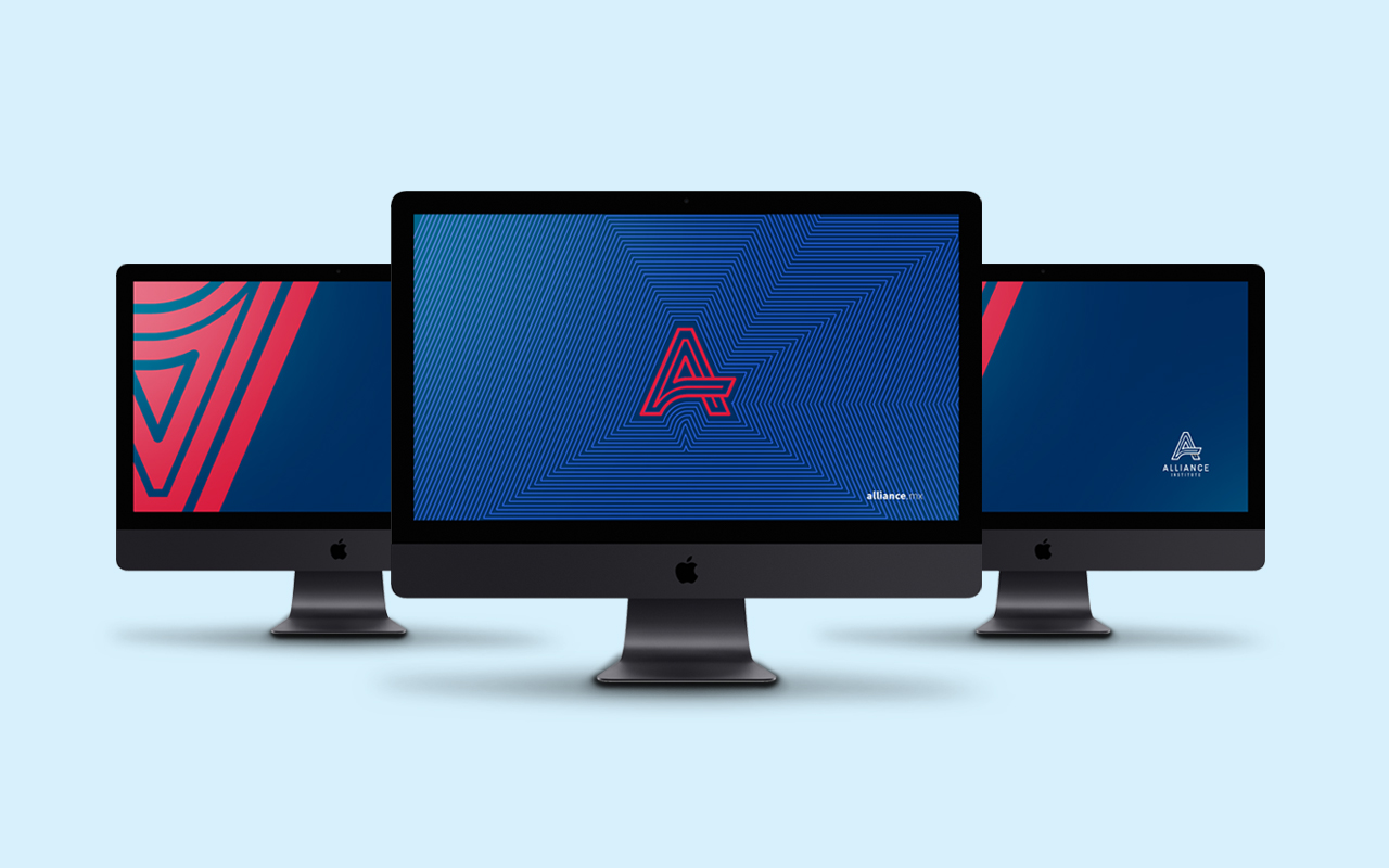 Imagen 5 proyecto Alliance